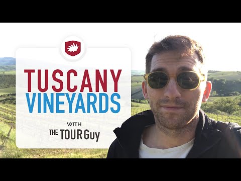 How to visit Vineyards in Tuscany