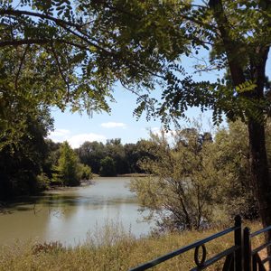 how to stay cool in rome - Villa Doria Pamphili