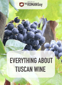 Learn about the many delicious wine options in Tuscany! | The Roman Guy Italy tours