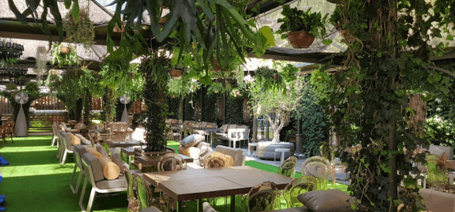 12 Best Restaurants in Trastevere in 2023 | The Roman Guy