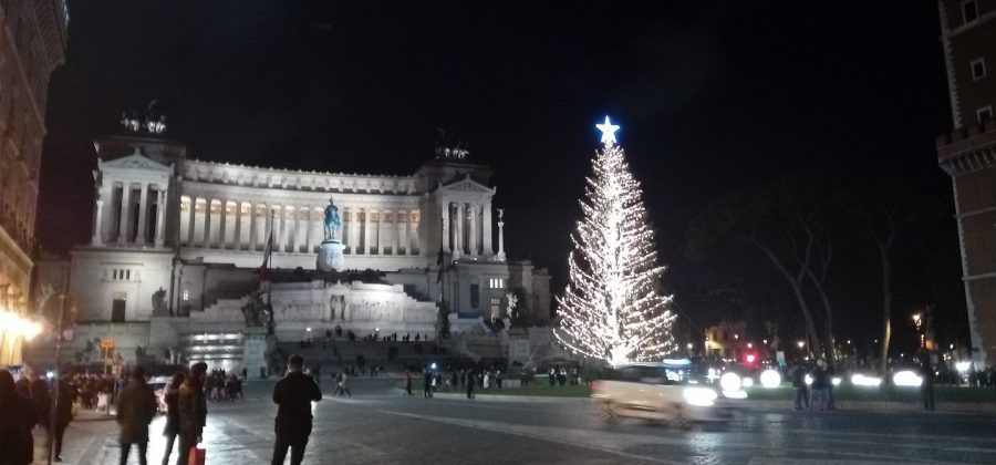 piazza navona at night with people and Christmas tree