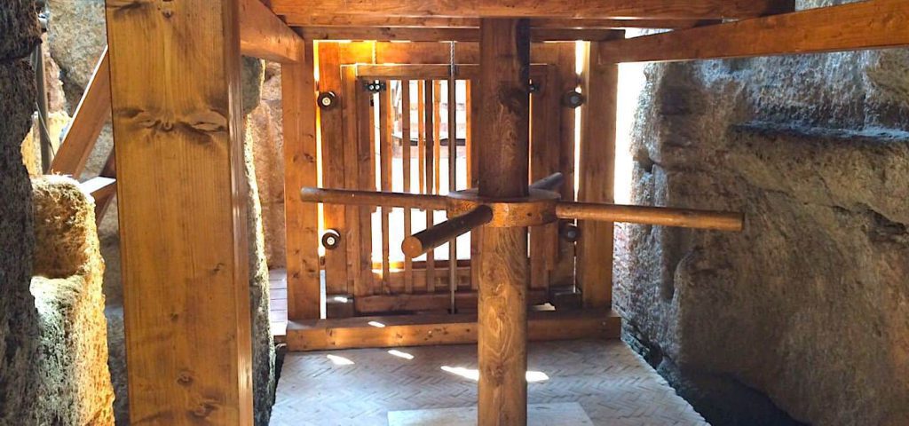 the roman guy colosseum