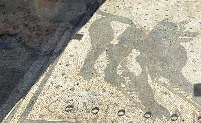 Floor mosaic of a guard dog at the entrance of the House of the Tragic Poet in the Pompeii Archaeological  Park