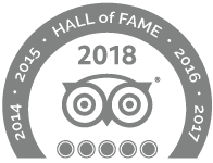 trip advisor home hall of fame the roman guy best tours in italy rome venice florence